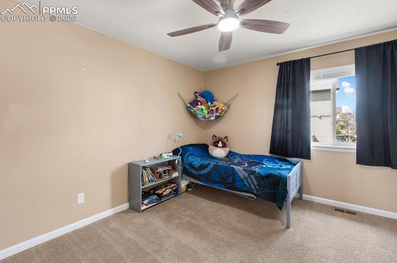 6838 Cottonwood Tree Drive Colorado Springs CO 80927