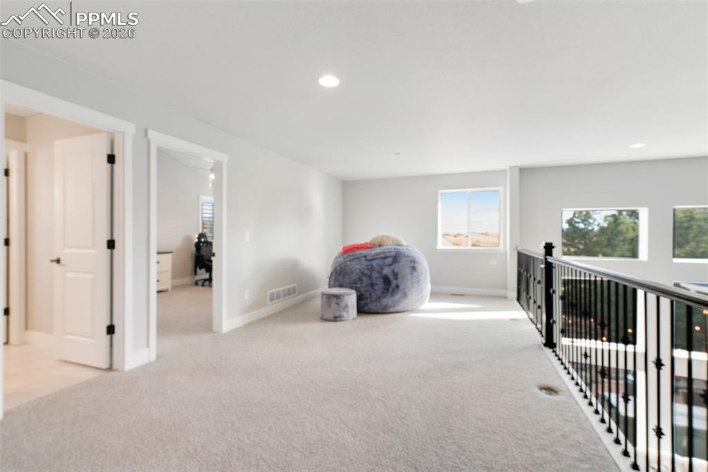 2119 Seaglass Street Colorado Springs CO 80921