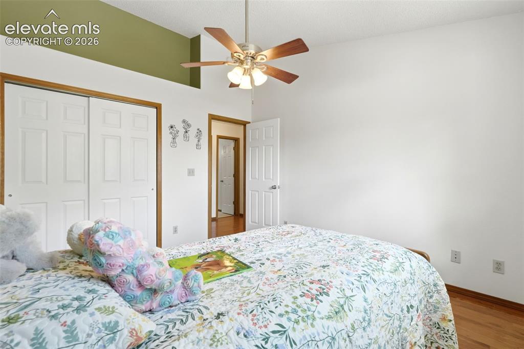 5523 Many Springs Drive Colorado Springs CO 80923