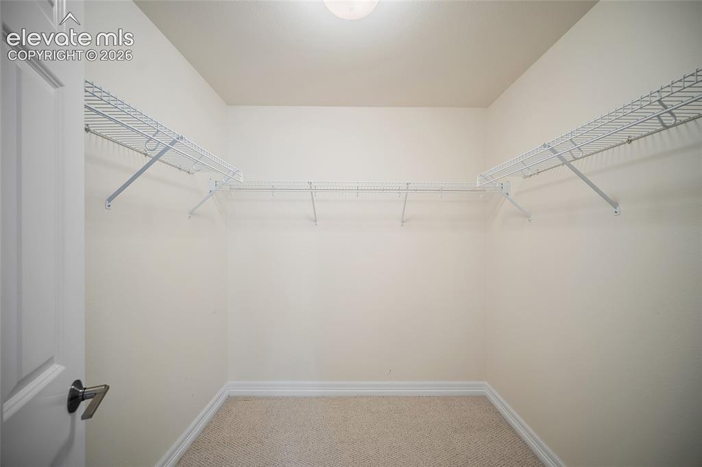 3135 Deergrass Place Colorado Springs CO 80920