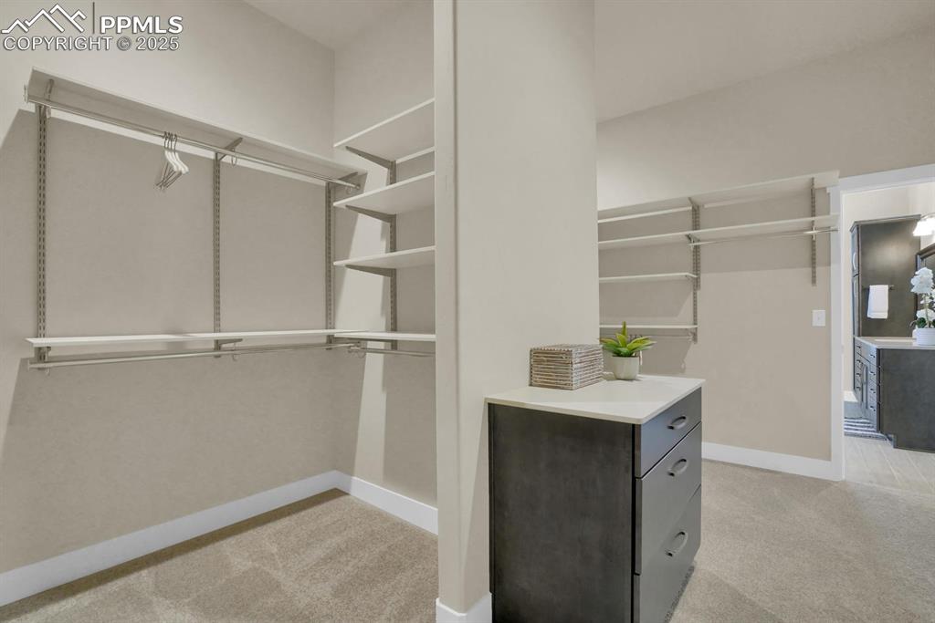 15036 Rubble Drive Colorado Springs CO 80908