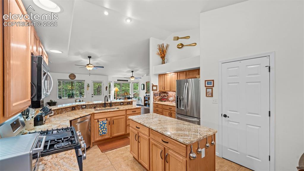 1520 Crestview Way Woodland Park CO 80863