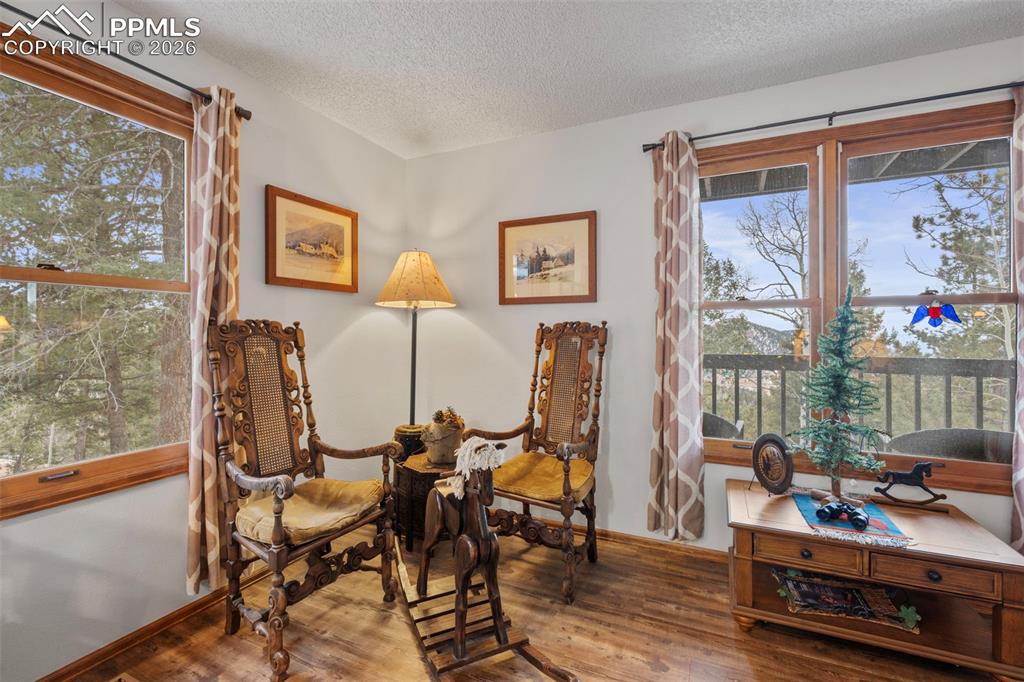 826 Troy Drive Cripple Creek CO 80813