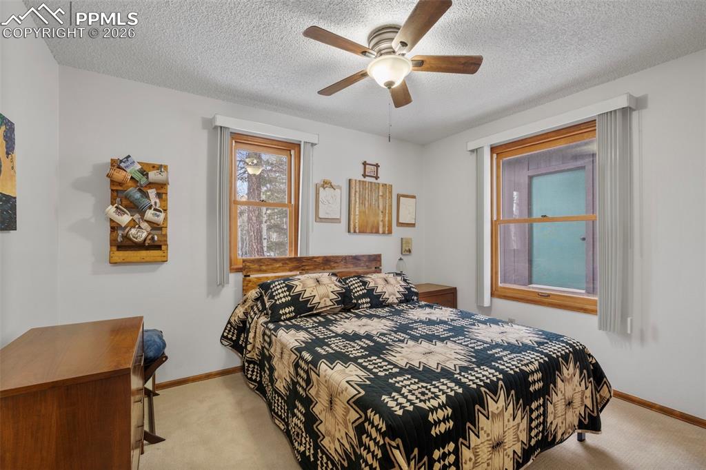 826 Troy Drive Cripple Creek CO 80813