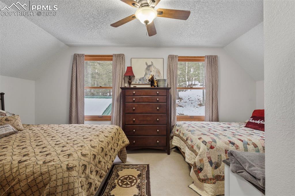 826 Troy Drive Cripple Creek CO 80813