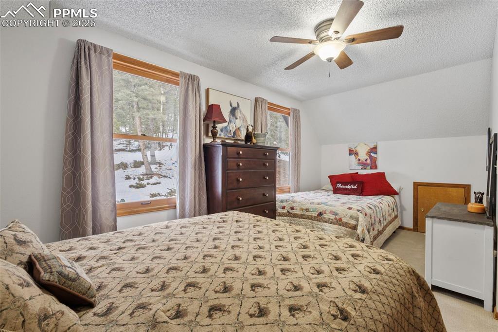 826 Troy Drive Cripple Creek CO 80813