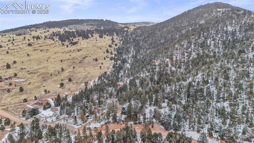 826 Troy Drive Cripple Creek CO 80813