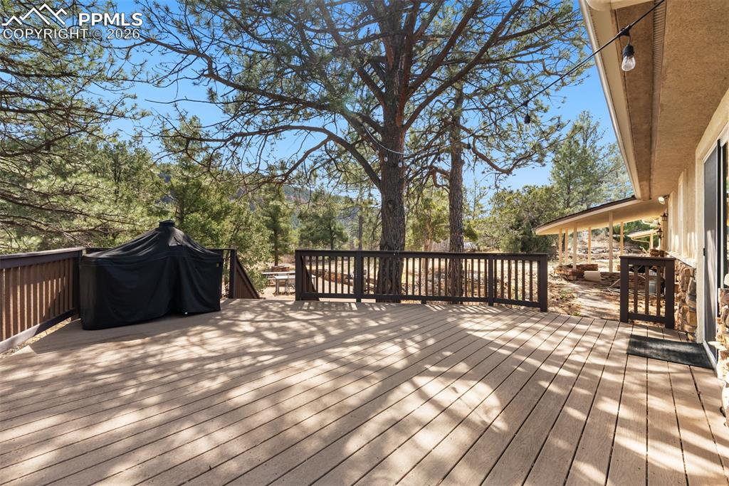 11545 Calle Corvo Colorado Springs CO 80926