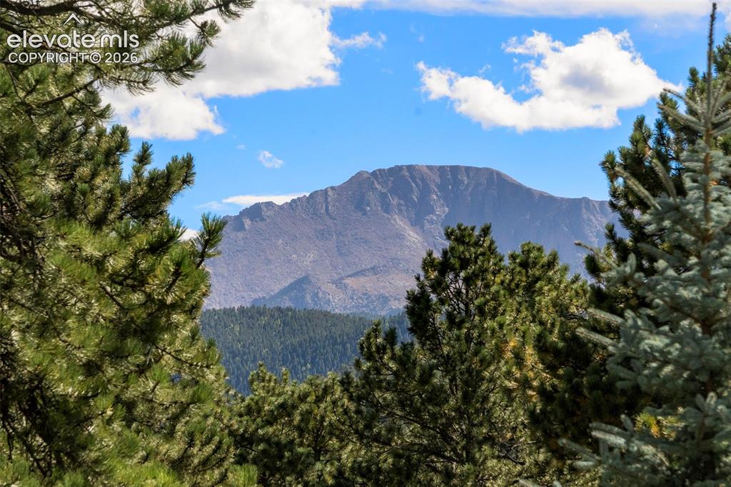 2441 Glen Cove Drive Woodland Park CO 80863
