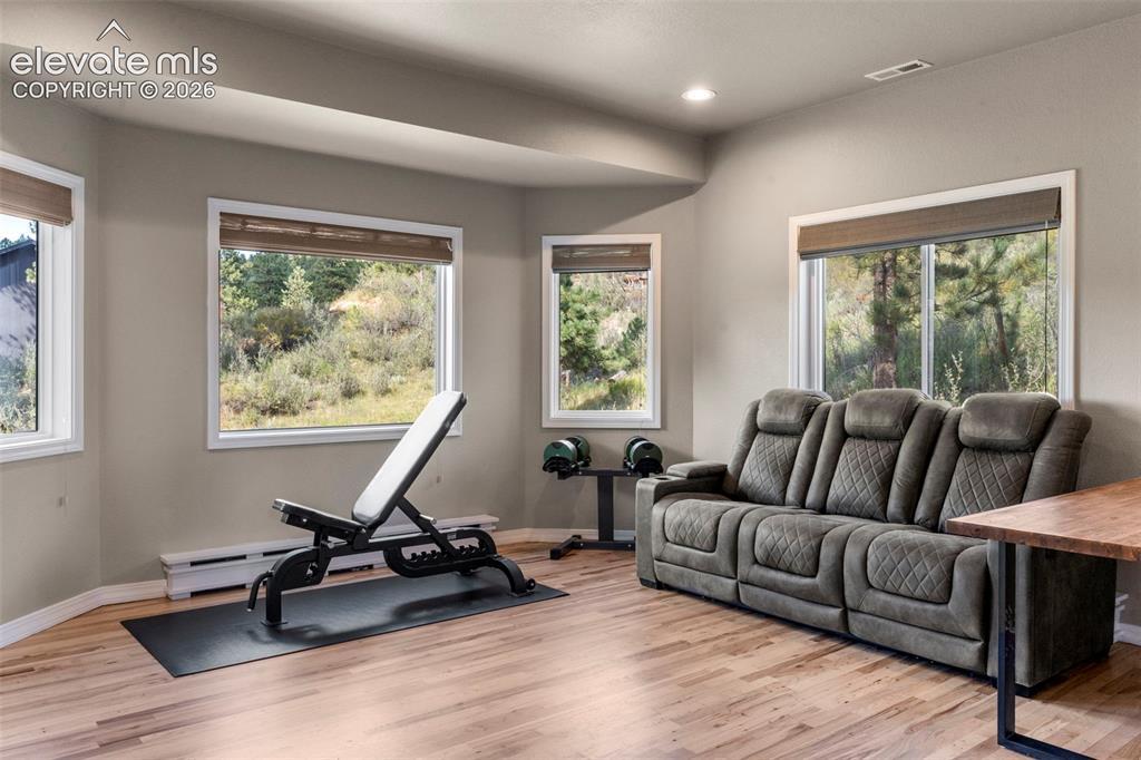 2441 Glen Cove Drive Woodland Park CO 80863