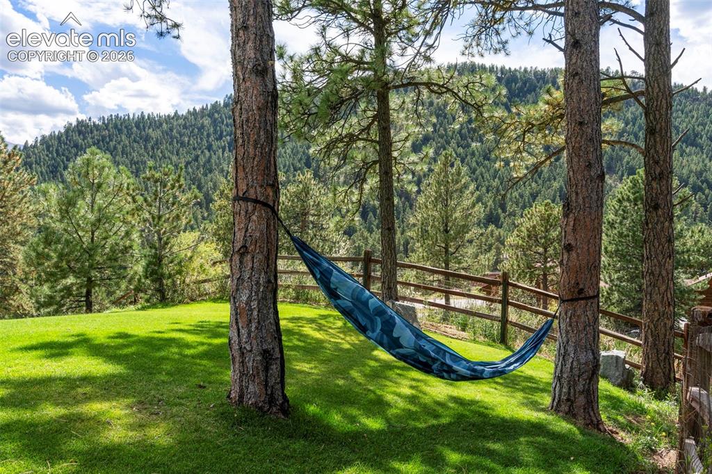 2441 Glen Cove Drive Woodland Park CO 80863