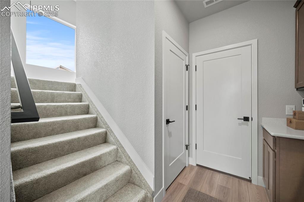 3077 Curly Grove Colorado Springs CO 80922