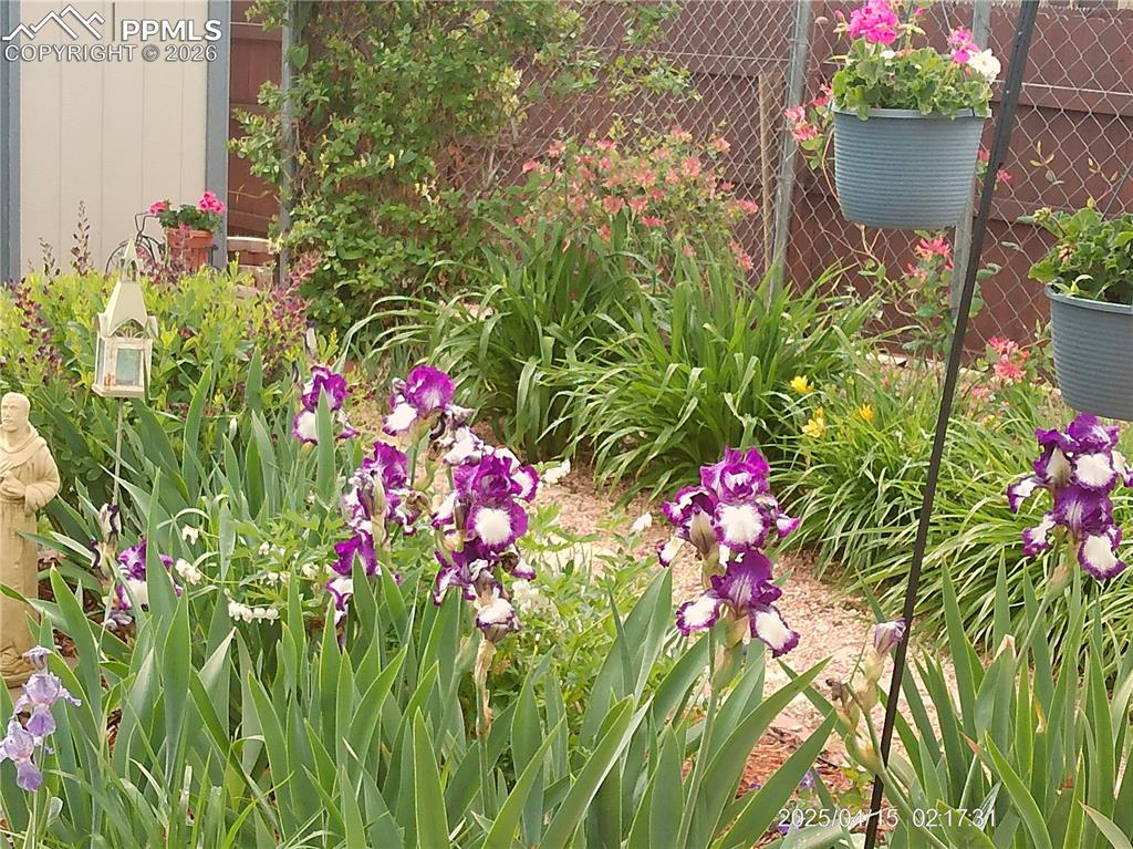 2125 Mount Werner Court Colorado Springs CO 80905