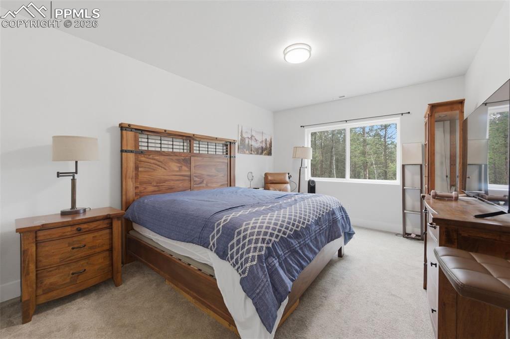 294 Southpark Road Florissant CO 80816