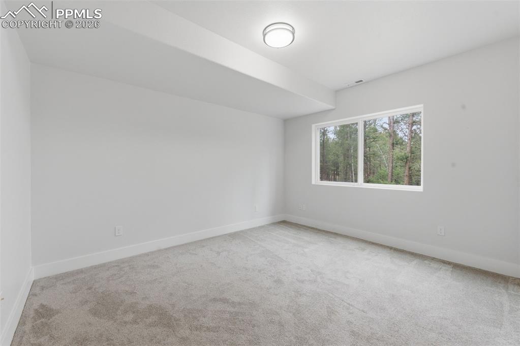 294 Southpark Road Florissant CO 80816