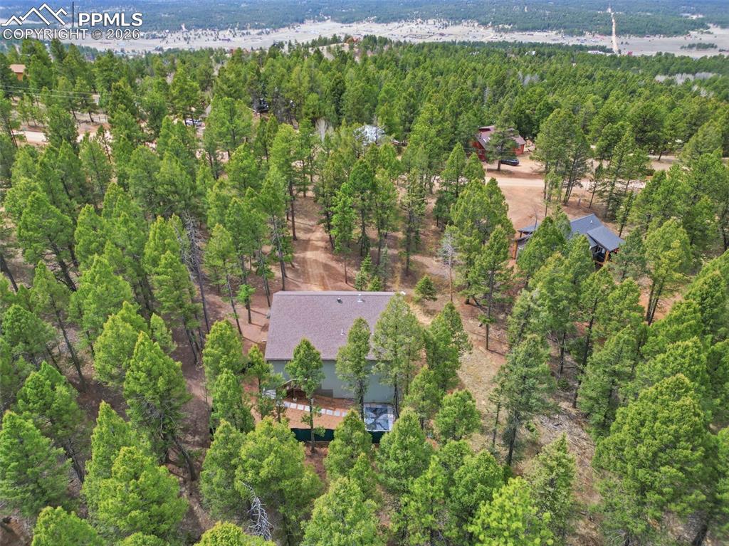294 Southpark Road Florissant CO 80816