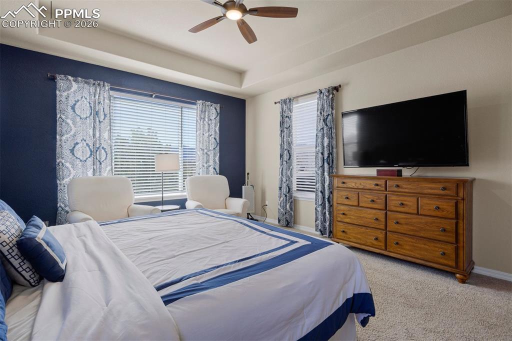 17311 Leisure Lake Drive Monument CO 80132