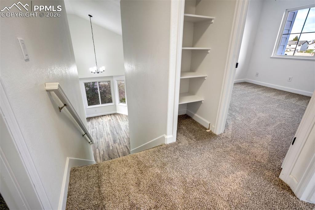 8388 Wilmington Drive Colorado Springs CO 80920