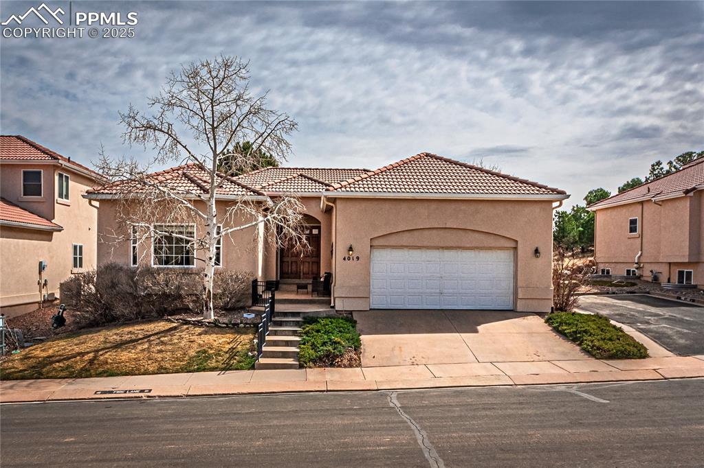 4019 San Felice Point Colorado Springs CO 80906