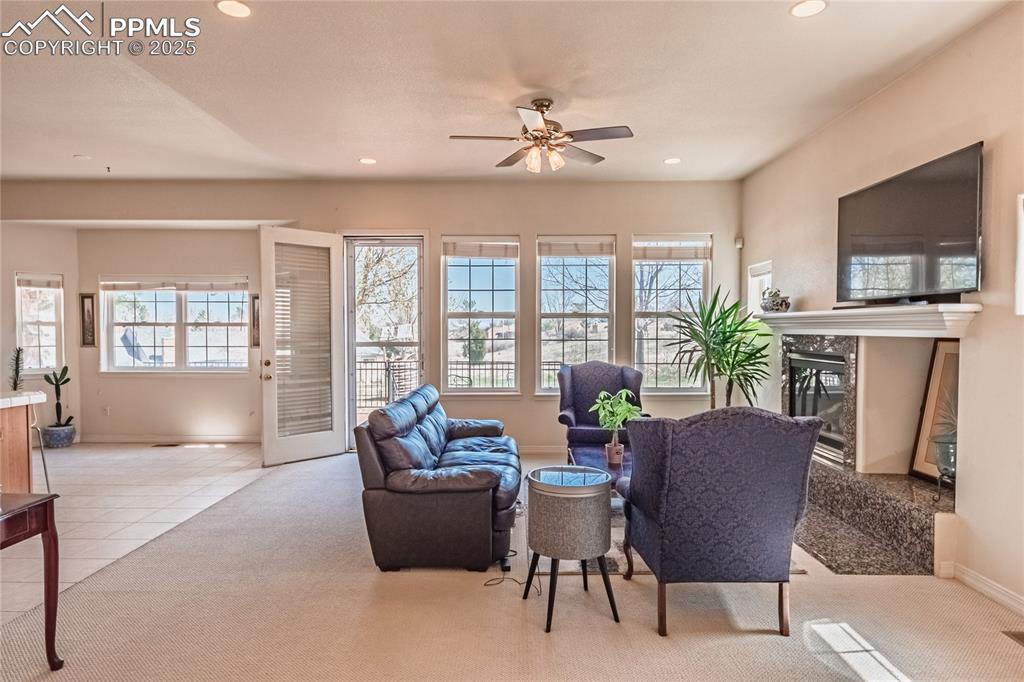 4019 San Felice Point Colorado Springs CO 80906