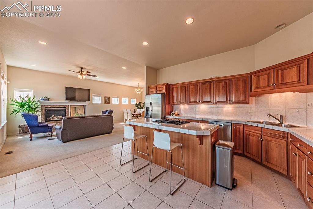 4019 San Felice Point Colorado Springs CO 80906