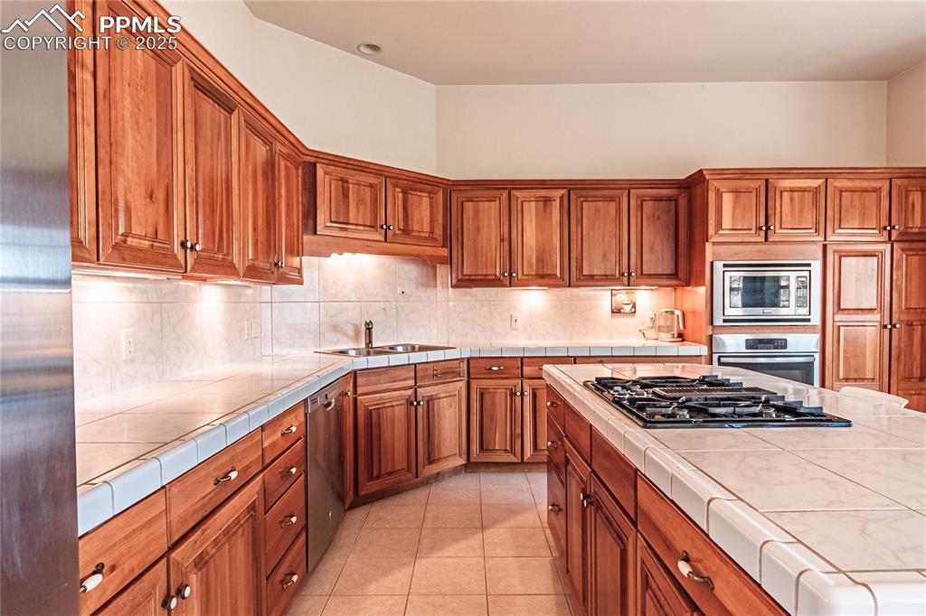 4019 San Felice Point Colorado Springs CO 80906