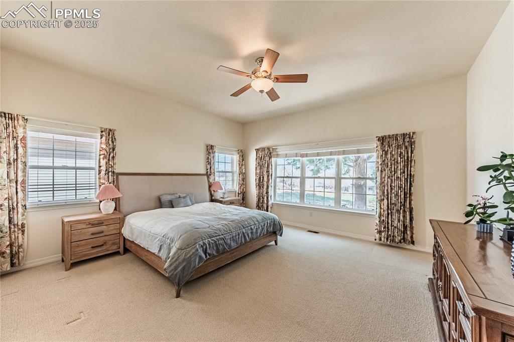 4019 San Felice Point Colorado Springs CO 80906