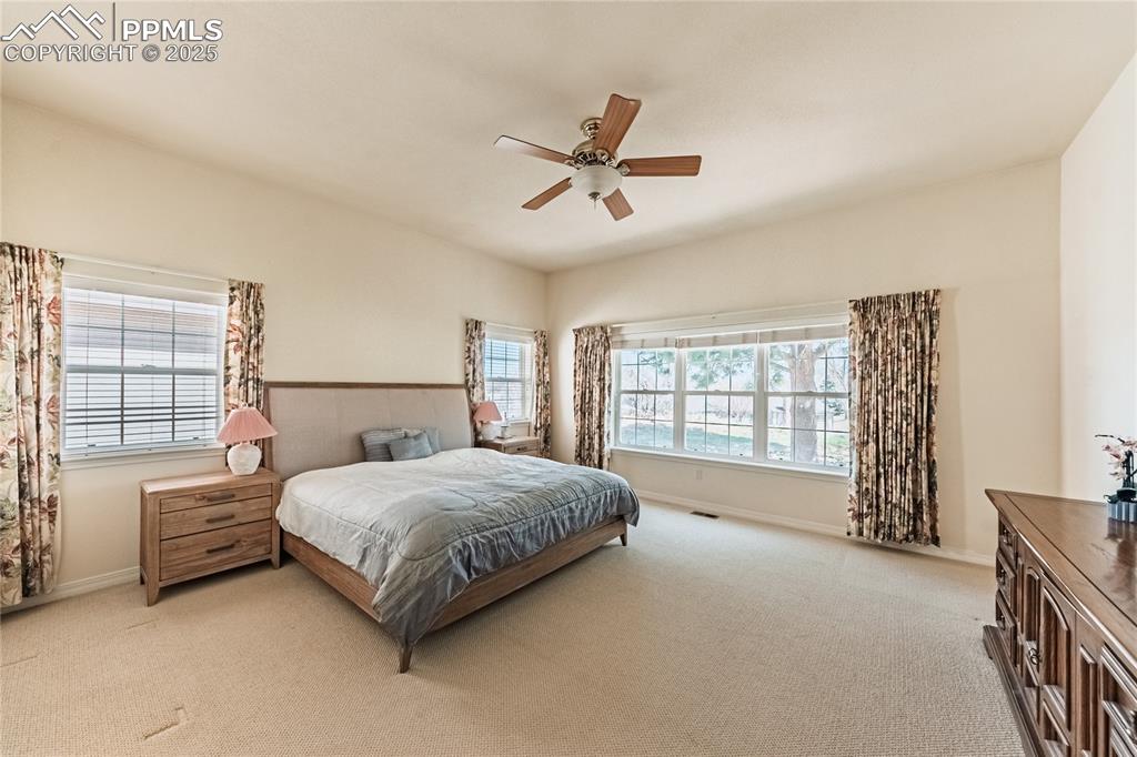 4019 San Felice Point Colorado Springs CO 80906