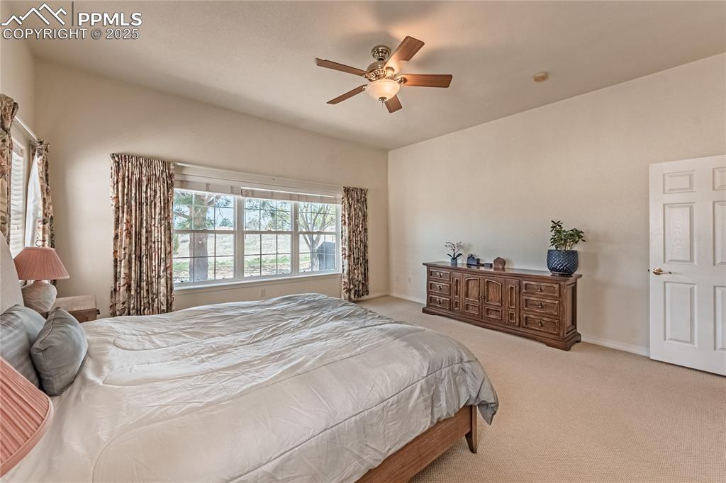 4019 San Felice Point Colorado Springs CO 80906