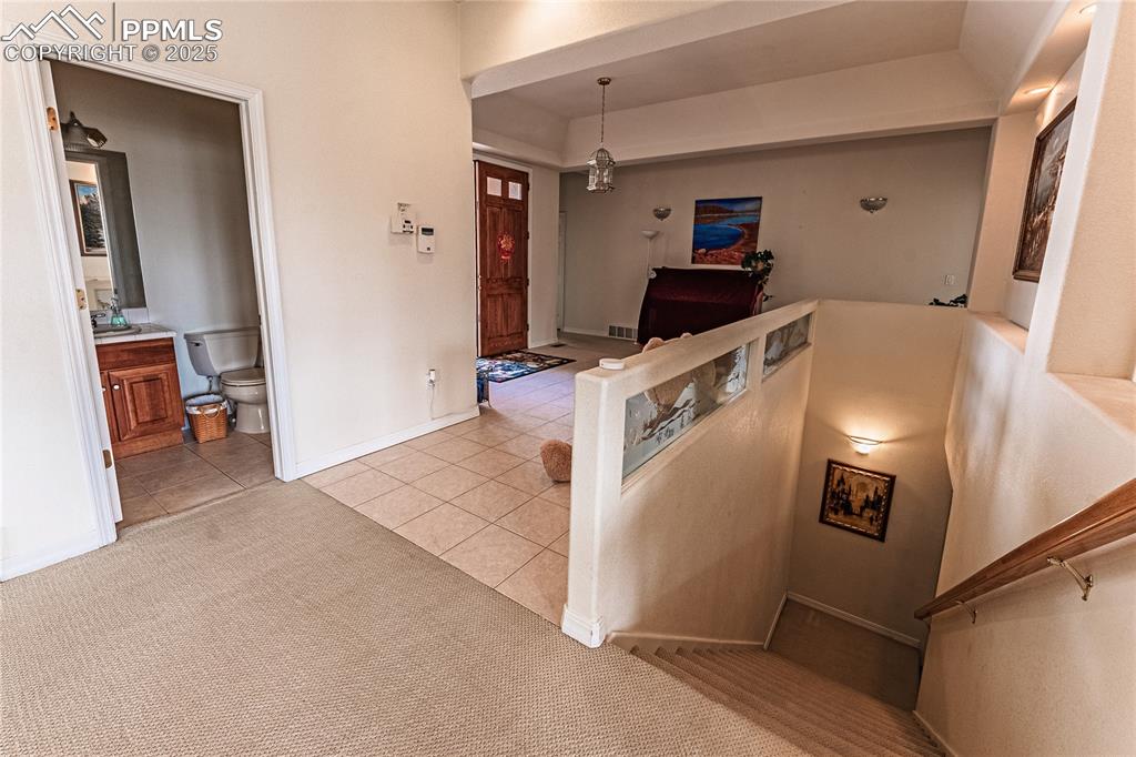 4019 San Felice Point Colorado Springs CO 80906