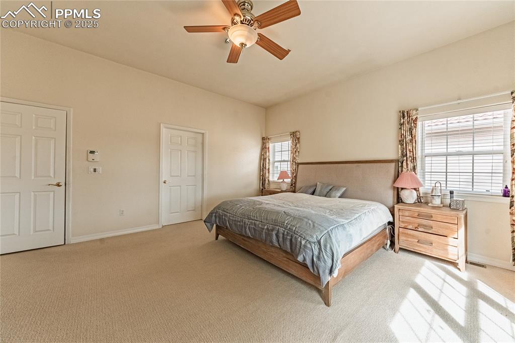 4019 San Felice Point Colorado Springs CO 80906