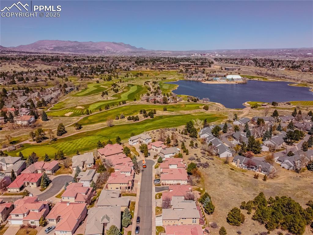 4019 San Felice Point Colorado Springs CO 80906