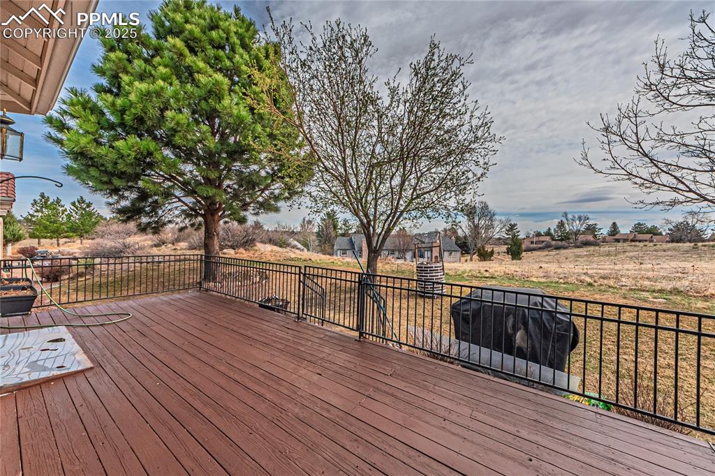 4019 San Felice Point Colorado Springs CO 80906