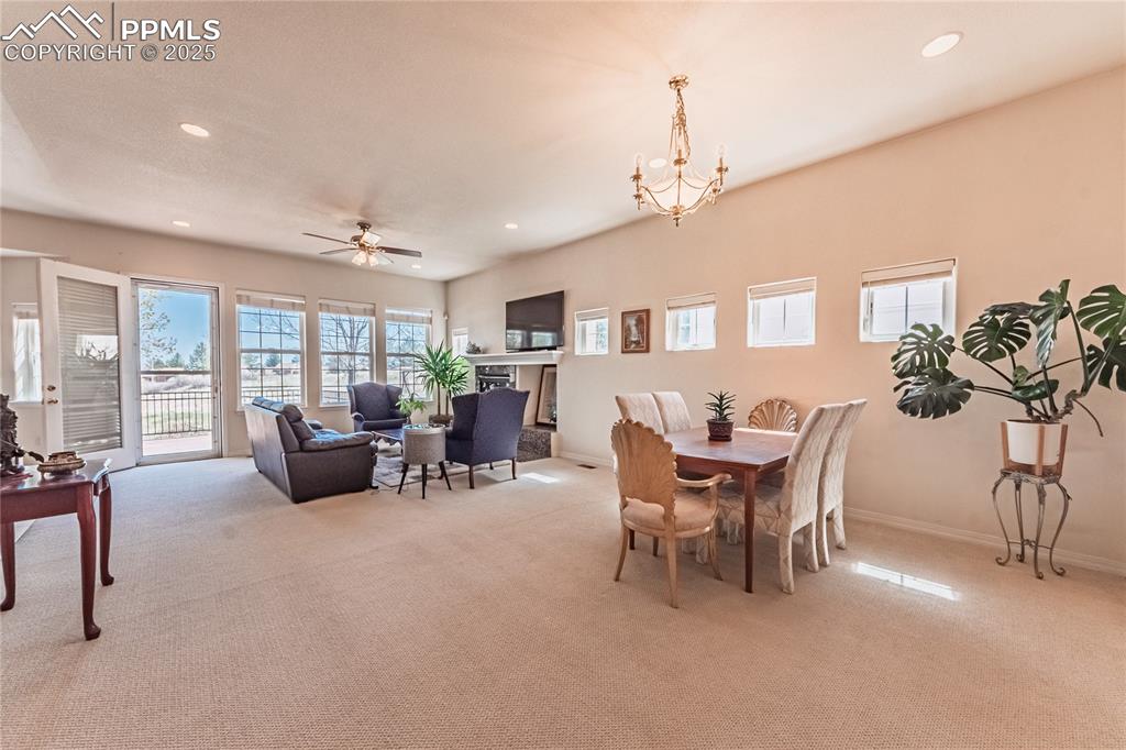 4019 San Felice Point Colorado Springs CO 80906