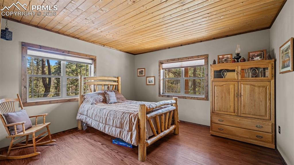 1253 E Bison Creek Trail Divide CO 80814