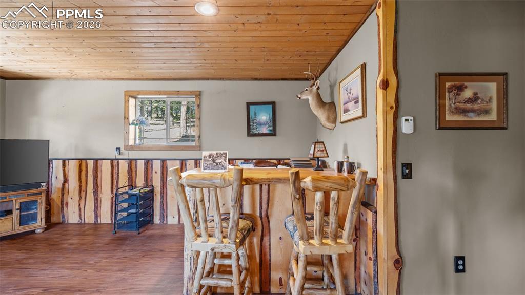 1253 E Bison Creek Trail Divide CO 80814