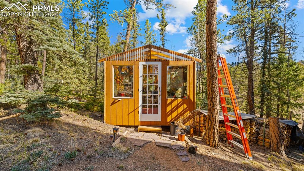 1253 E Bison Creek Trail Divide CO 80814