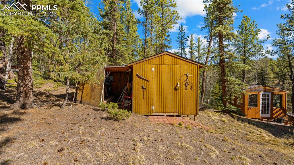1253 E Bison Creek Trail Divide CO 80814