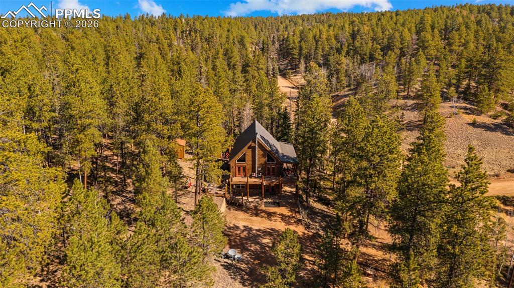 1253 E Bison Creek Trail Divide CO 80814