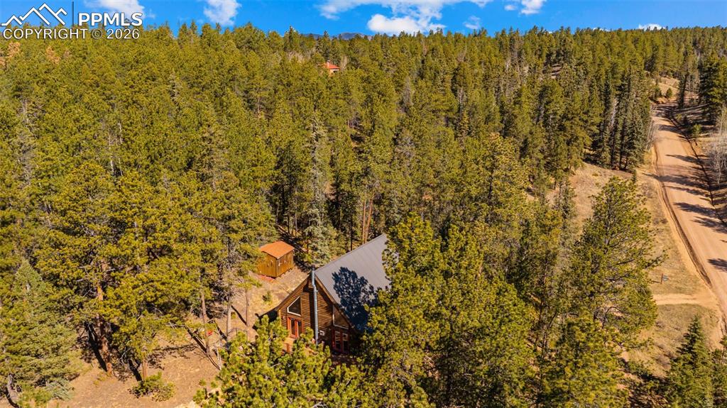 1253 E Bison Creek Trail Divide CO 80814