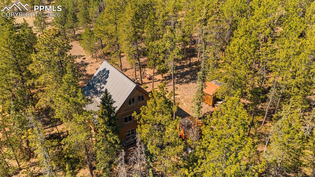 1253 E Bison Creek Trail Divide CO 80814