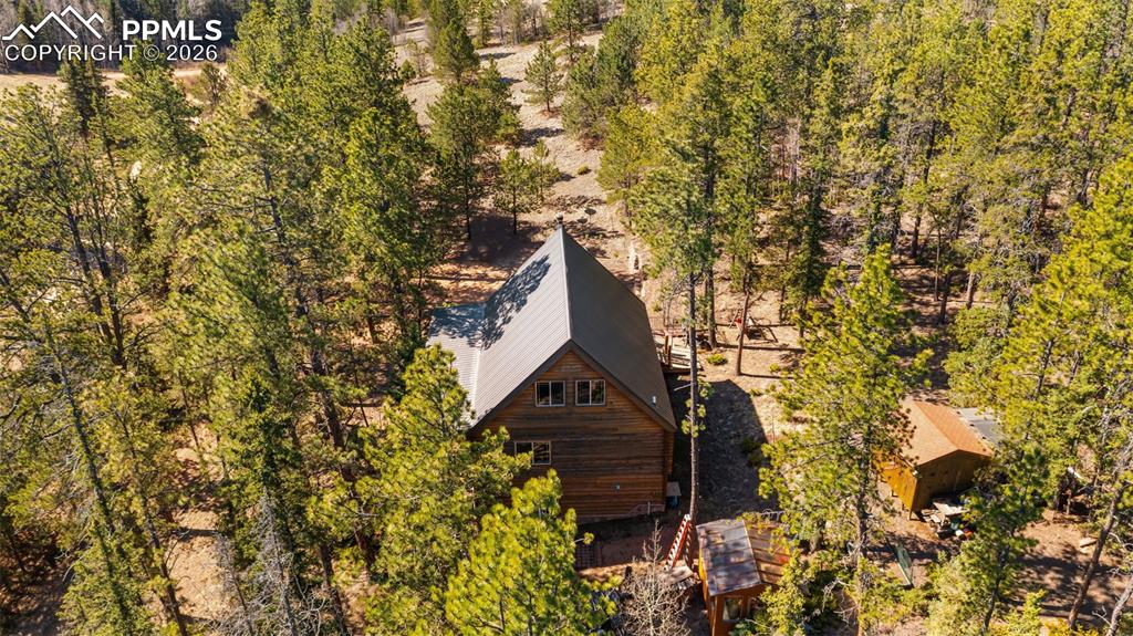 1253 E Bison Creek Trail Divide CO 80814