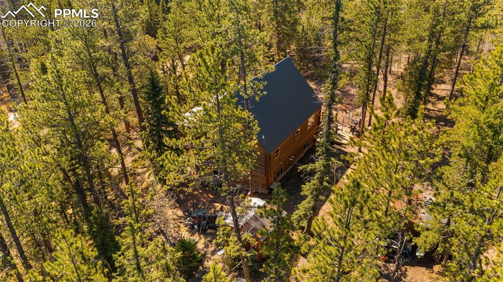 1253 E Bison Creek Trail Divide CO 80814