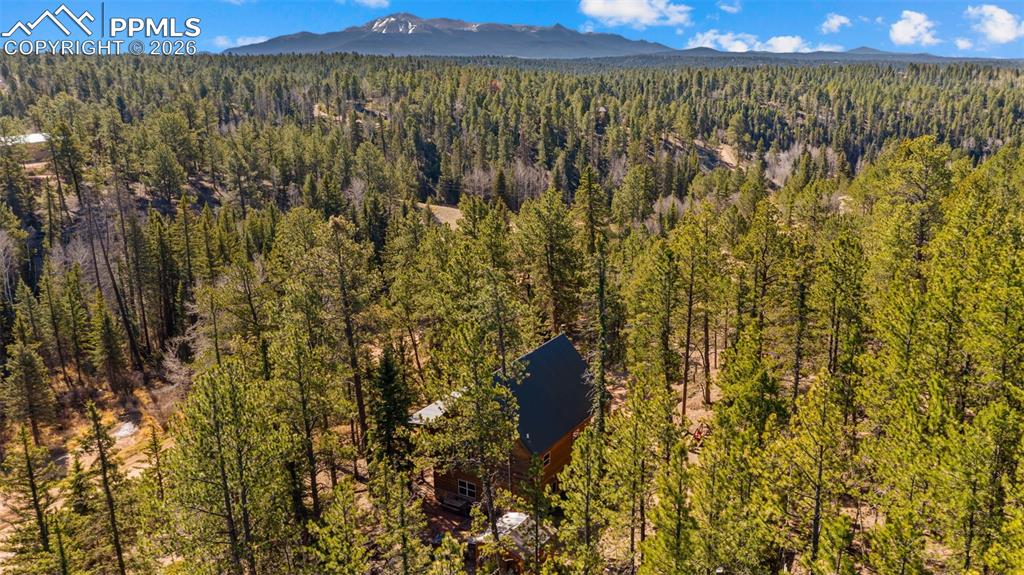 1253 E Bison Creek Trail Divide CO 80814