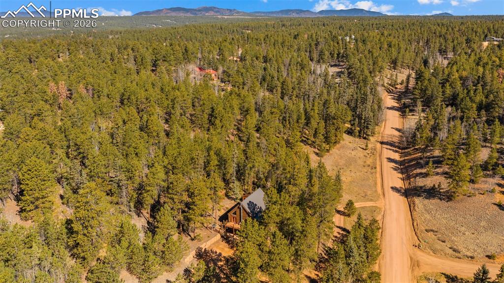 1253 E Bison Creek Trail Divide CO 80814