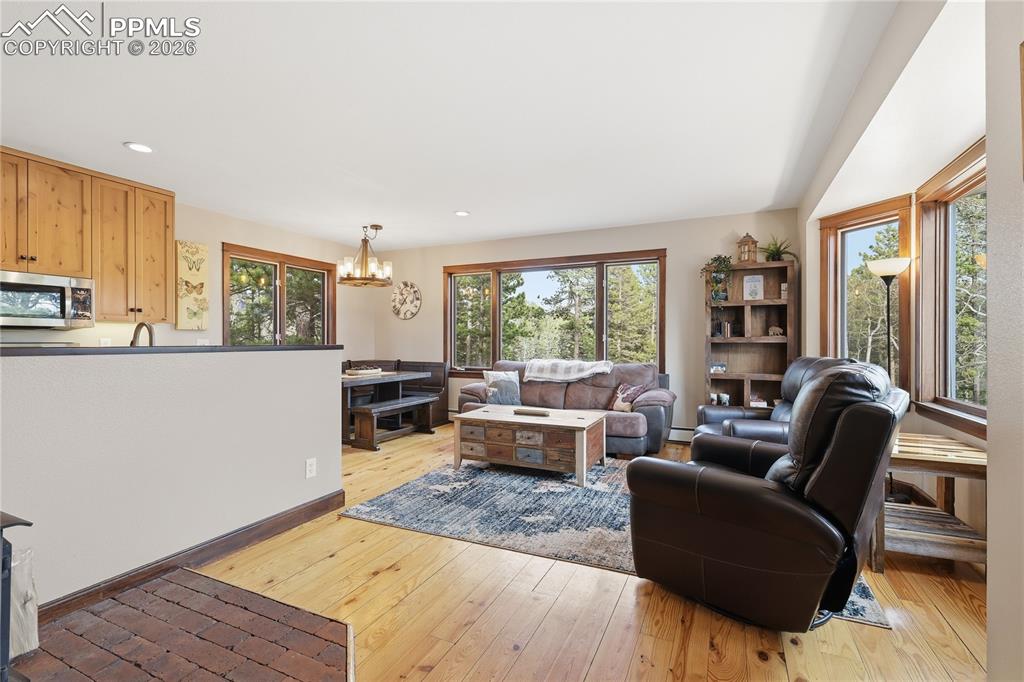 57 Trout Creek Circle Divide CO 80814
