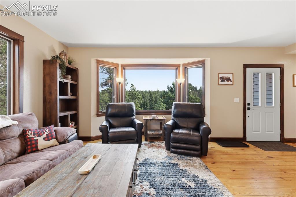 57 Trout Creek Circle Divide CO 80814