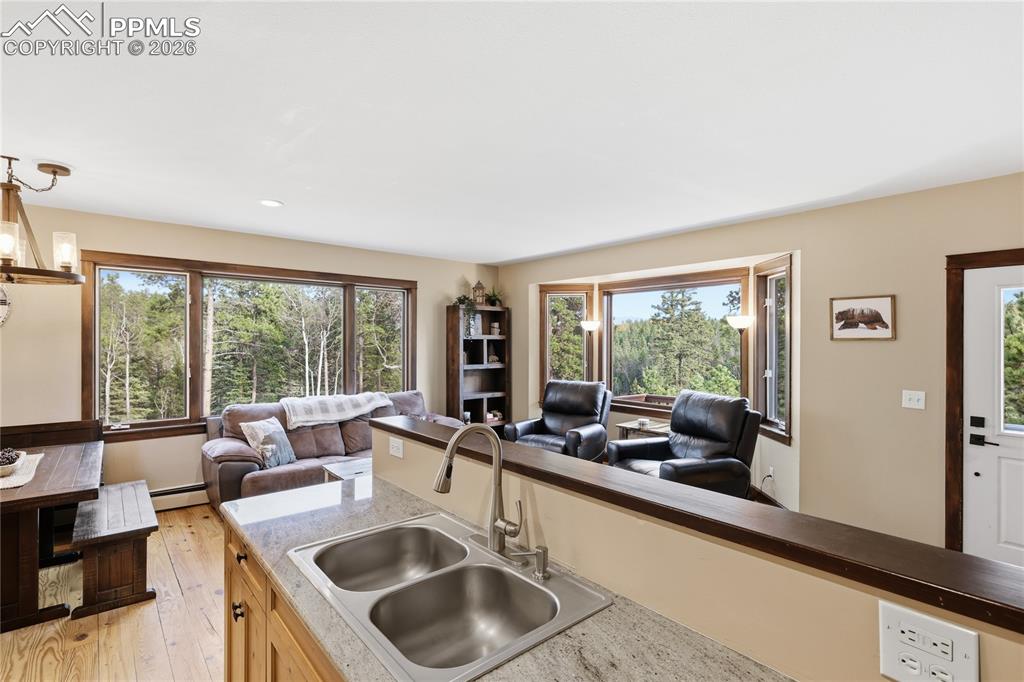 57 Trout Creek Circle Divide CO 80814