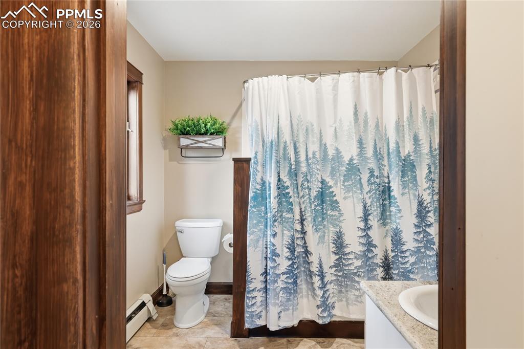 57 Trout Creek Circle Divide CO 80814
