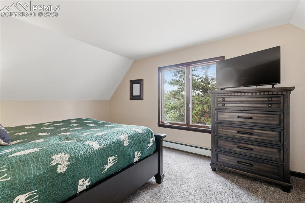 57 Trout Creek Circle Divide CO 80814